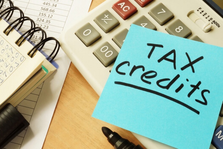What are Tax Credits and how can they help my business?