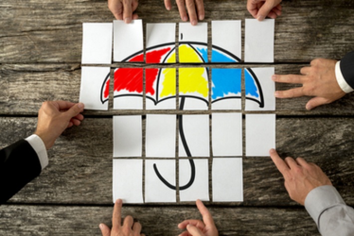 Should I go Umbrella or Limited Company?