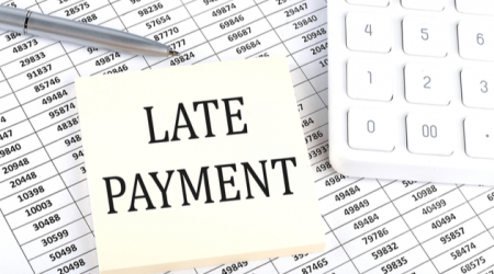 Bulk Appeals Allowed for Late Filing Penalties