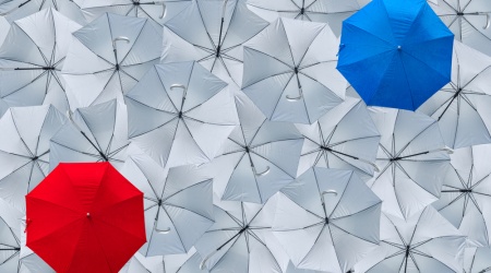 Umbrella vs Limited Company – What You Need To Know