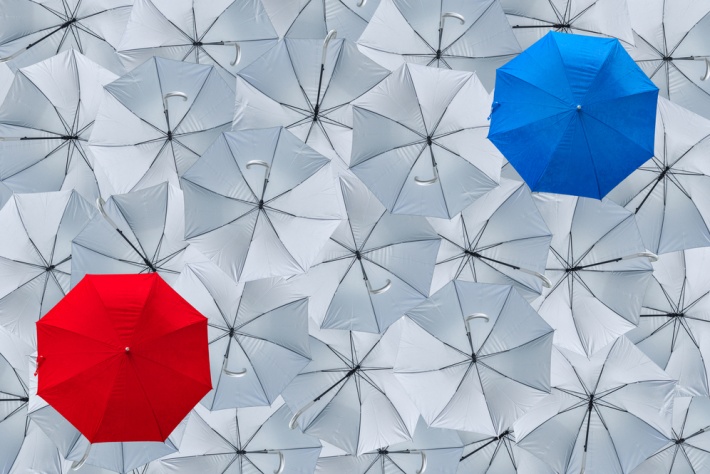 Umbrella vs Limited Company – What You Need To Know