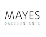 Mayes Business Partnership