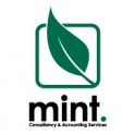Mint Accounting Services