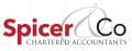 Spicer and Co Chartered Accountants