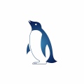 Blue Penguin Chartered Accountants