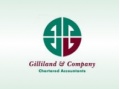 Gilliland & Company Chartered Accountants