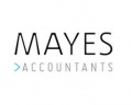 Mayes Business Partnership