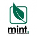 Mint Accounting Services